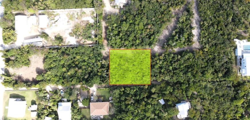 LOT 61 NEW SETTLEMENT