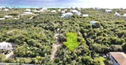 LOT 61 NEW SETTLEMENT