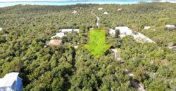 LOT 61 NEW SETTLEMENT