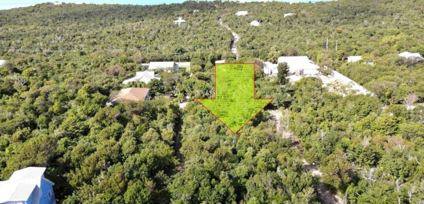 LOT 61 NEW SETTLEMENT