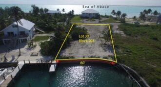 Lot 30, Blk 203, TCB