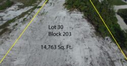 Lot 30, Blk 203, TCB Lot 30, Blk 203, TCB