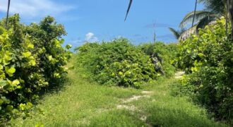LOT 8 SOUTH END GUANA