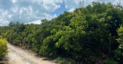 LOT 8 SOUTH END GUANA