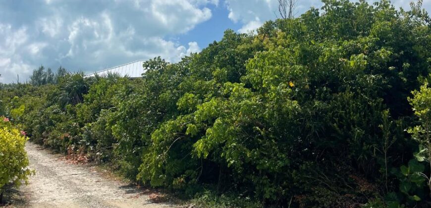 LOT 8 SOUTH END GUANA