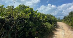 LOT 8 SOUTH END GUANA