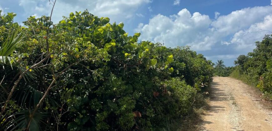 LOT 8 SOUTH END GUANA