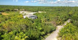 LOT 4, BAHAMA PALM SHORES LOT 4, BAHAMA PALM SHORES
