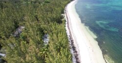WINDING BAY ACREAGE