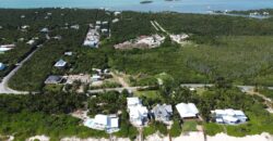 CORAL DUNE 15