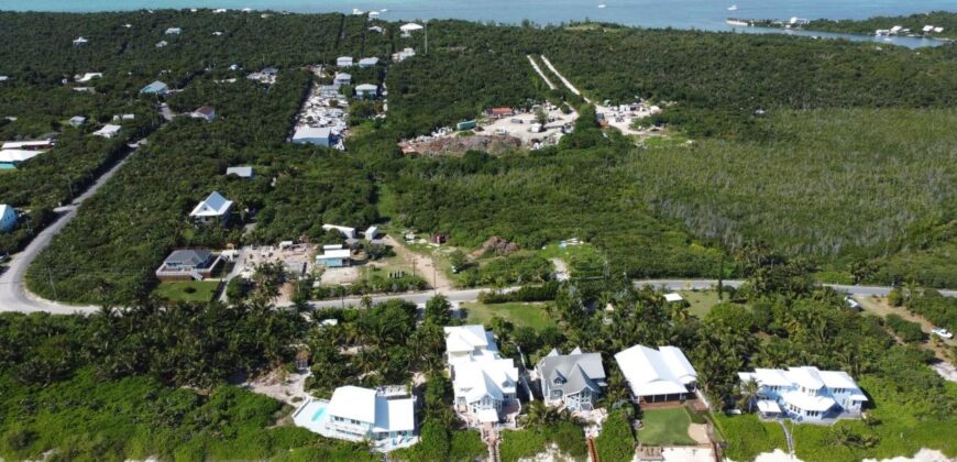 CORAL DUNE 15