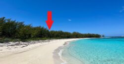LOT 6, ROSE ISLAND BEACH LOT 6, ROSE ISLAND BEACH