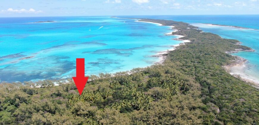 LOT 6, ROSE ISLAND BEACH LOT 6, ROSE ISLAND BEACH