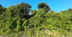 BAHAMA SOUND EXUMA LOT