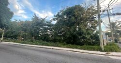 WINDER TERRACE & MALCOLM