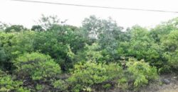 BAHAMA SOUND EXUMA LOTS