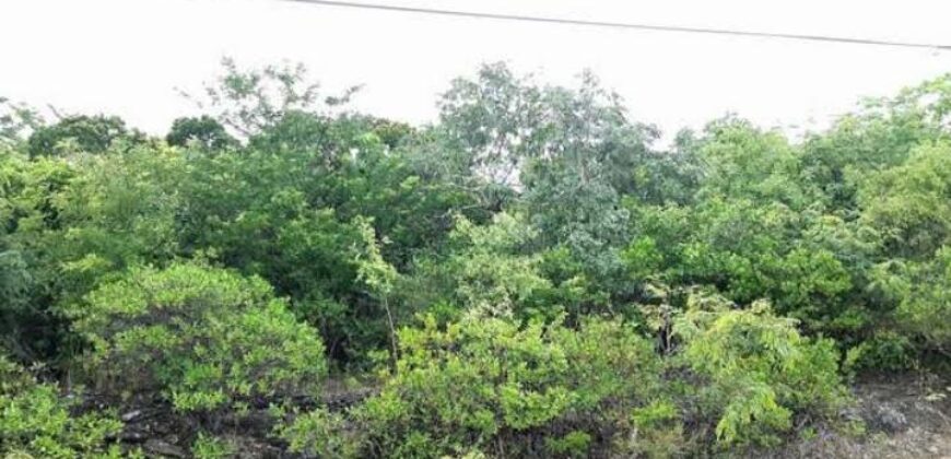 BAHAMA SOUND EXUMA LOTS