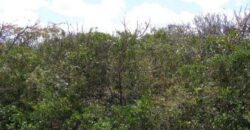 BAHAMA SOUND EXUMA LOTS