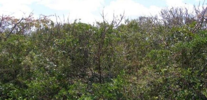 BAHAMA SOUND EXUMA LOTS