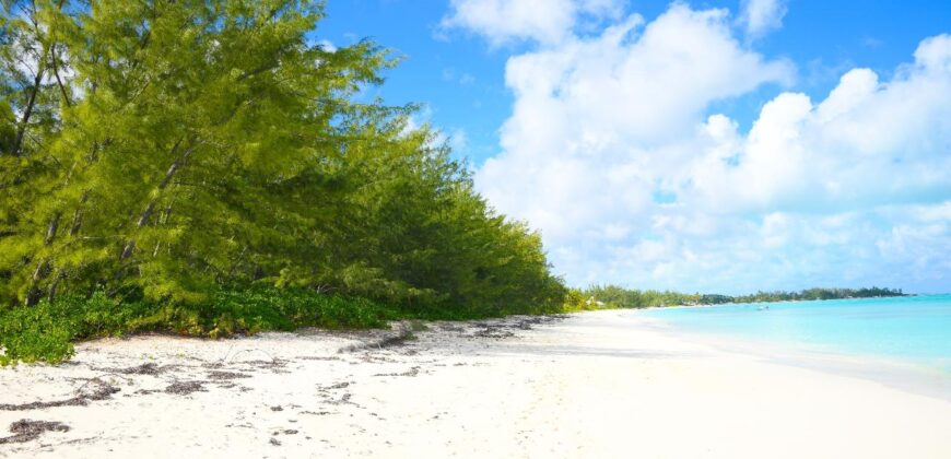FLAMINGO BAY LOT 1