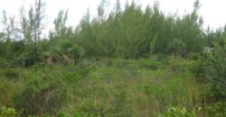 BAHAMA SOUND EXUMA LOTS