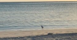 LOT # 2 DEALS BEACH LOT # 2 DEALS BEACH