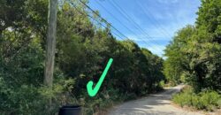 ELEUTHERA PLAMETTO PT LOT ELEUTHERA PLAMETTO PT LOT