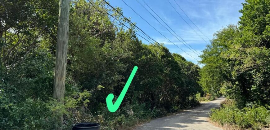 ELEUTHERA PLAMETTO PT LOT ELEUTHERA PLAMETTO PT LOT