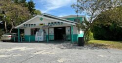ELEUTHERA PLAMETTO PT LOT ELEUTHERA PLAMETTO PT LOT