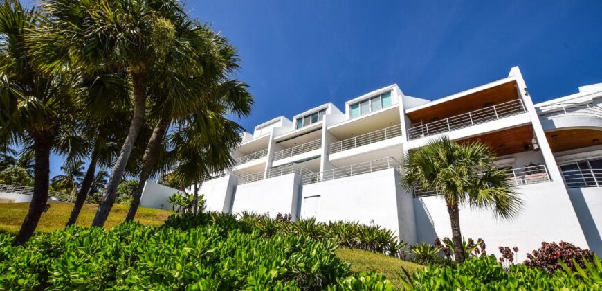 HAVEN VIEW