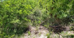 TARPUM BAY VACANT LOT TARPUM BAY VACANT LOT