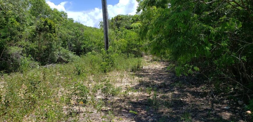 TARPUM BAY VACANT LOT TARPUM BAY VACANT LOT