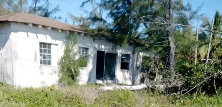 FIXER UPPER ANDROS
