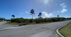 YORKSHIRE DRIVE
