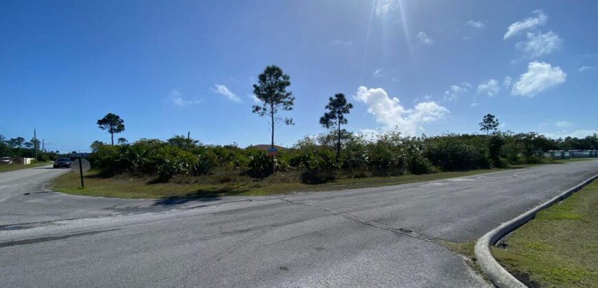 YORKSHIRE DRIVE