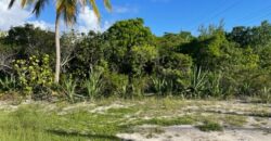 OCTAGON HOUSE, RUM CAY OCTAGON HOUSE, RUM CAY