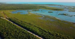 EXUMA VIEW SF LOTS