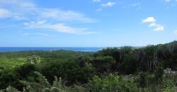 SCRUB HILL LOT 2 SCRUB HILL LOT 2