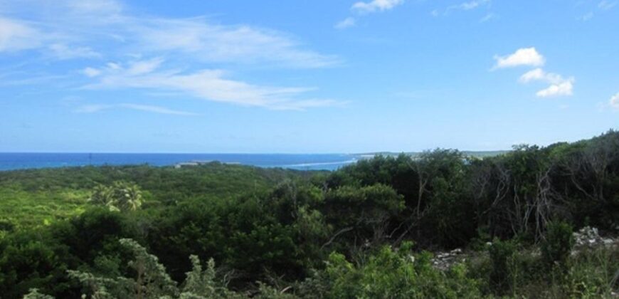 SCRUB HILL LOT 2 SCRUB HILL LOT 2