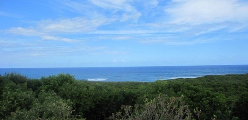 SCRUB HILL LOT 2 SCRUB HILL LOT 2