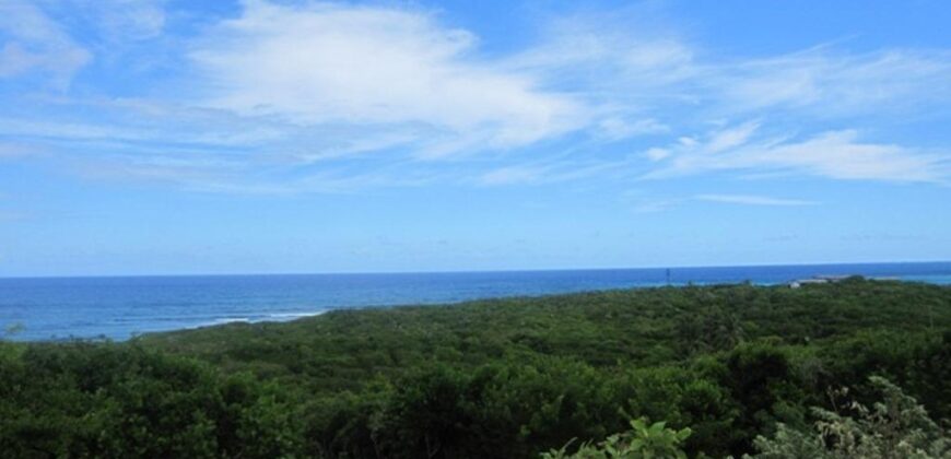 SCRUB HILL LOT 2 SCRUB HILL LOT 2