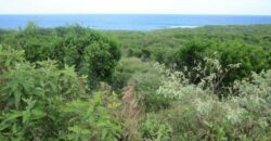 SCRUB HILL LOT 2 SCRUB HILL LOT 2