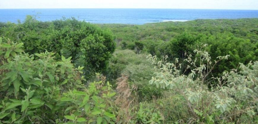 SCRUB HILL LOT 2 SCRUB HILL LOT 2