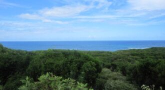 SCRUB HILL LOT 1