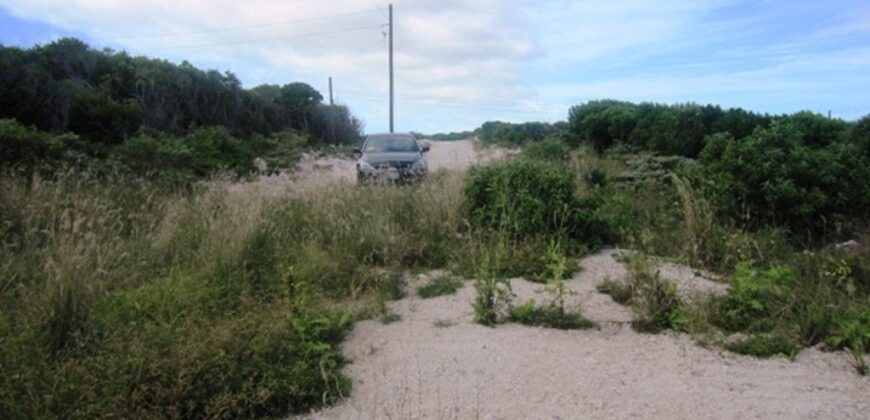 SCRUB HILL LOT 1 SCRUB HILL LOT 1