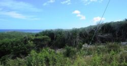 SCRUB HILL LOT 1 SCRUB HILL LOT 1