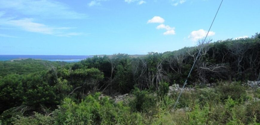 SCRUB HILL LOT 1 SCRUB HILL LOT 1