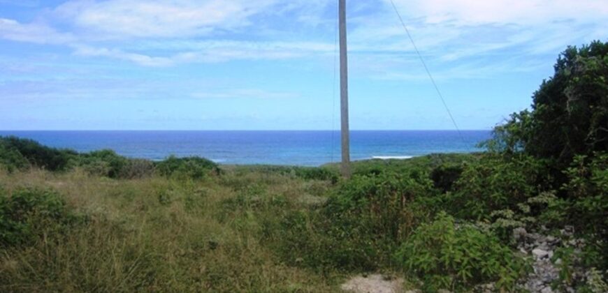 SCRUB HILL LOT 1 SCRUB HILL LOT 1