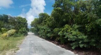 MOUNT CURTIS DR, STELLA M