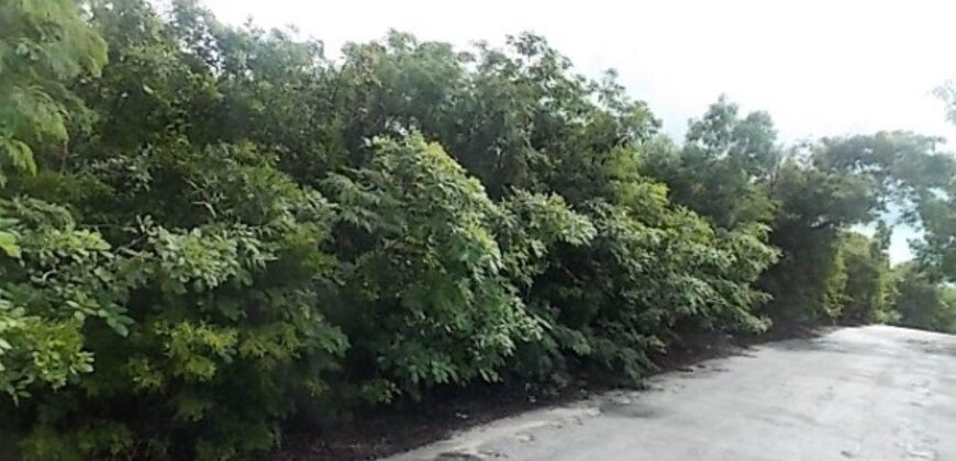 MOUNT CURTIS DR, STELLA M